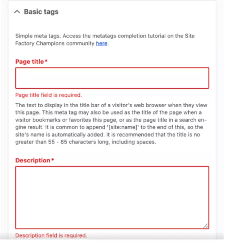 error message metatags