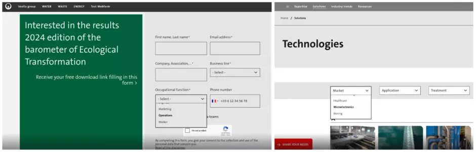 Dropdown menu display on Web-to-Lead Forms