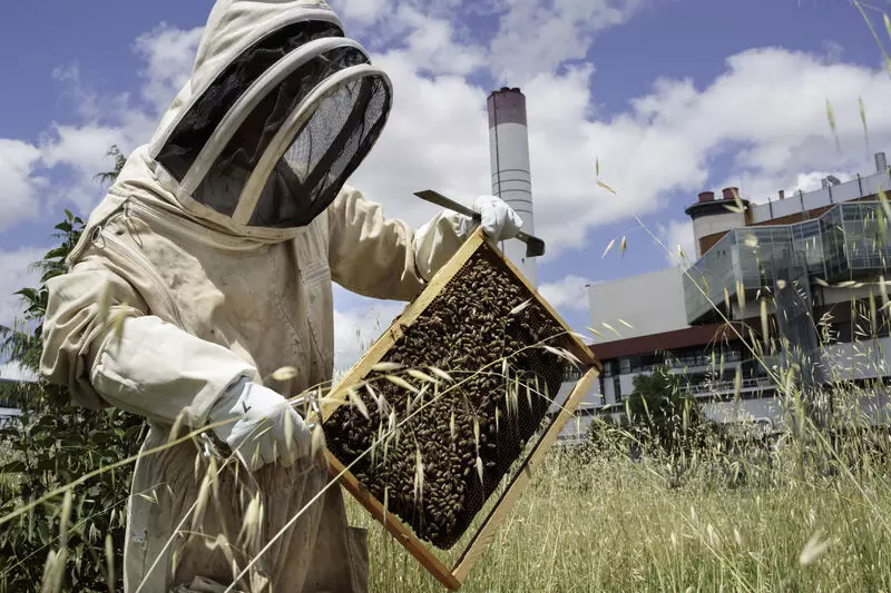 Image veolia example 