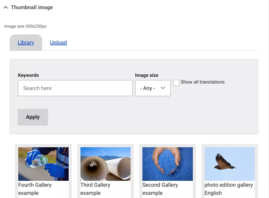 Image editing gallery 